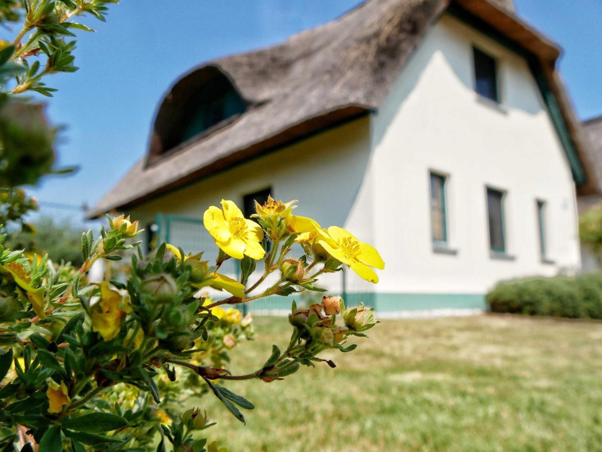 Ferienpark Scharmuetzelsee Wendisch Rietz Exterior foto